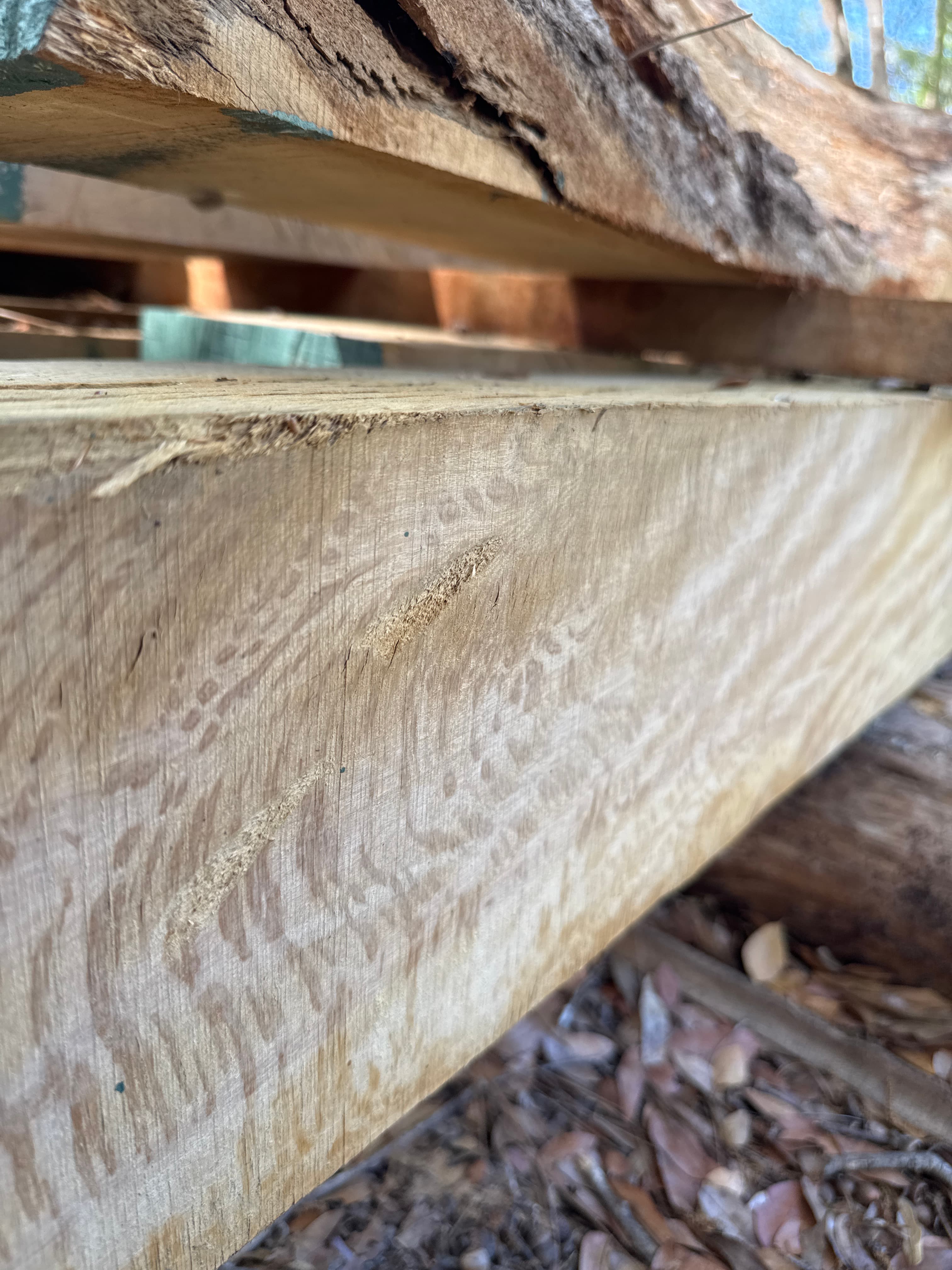 Southern Live Oak Lumber