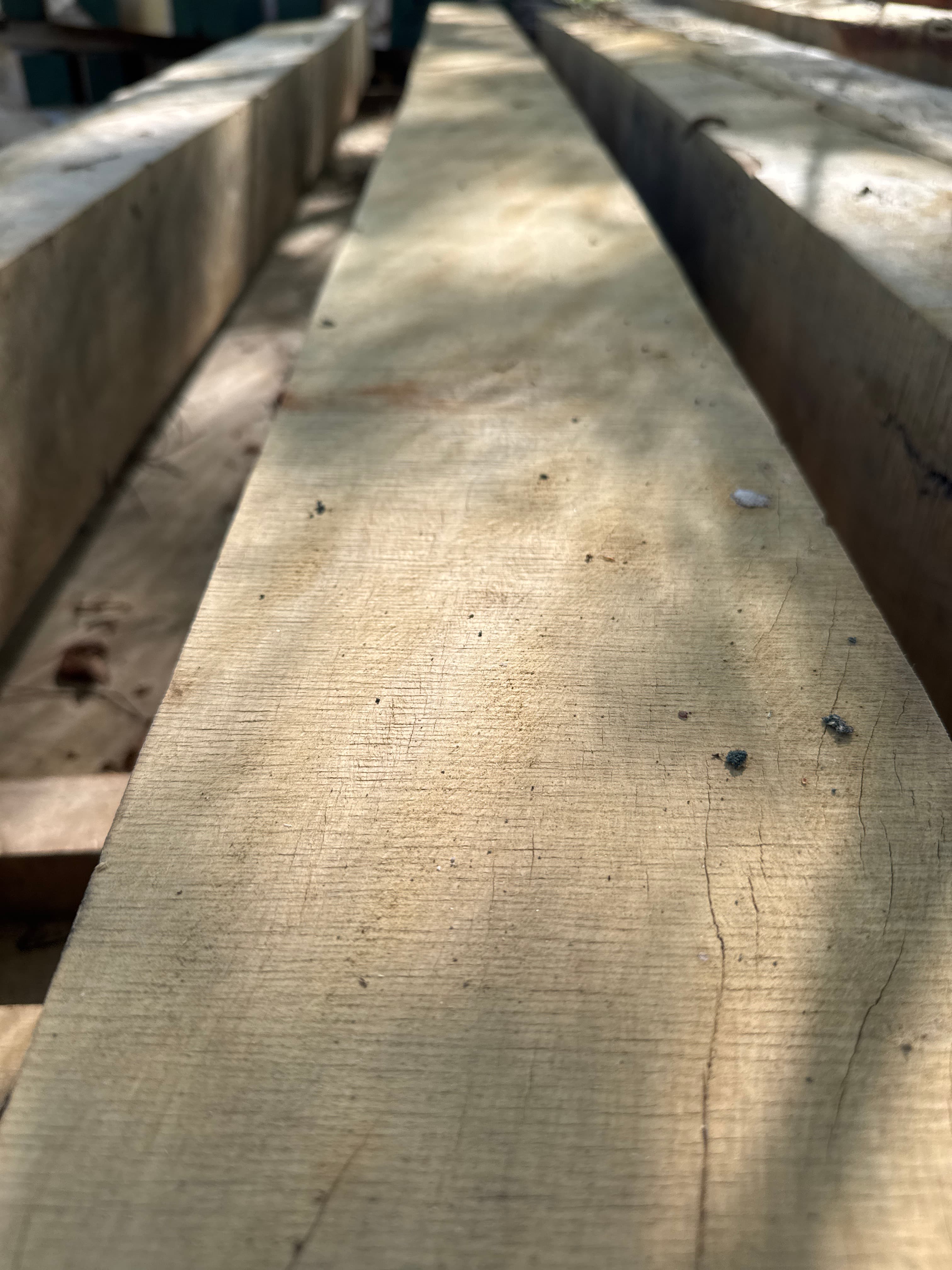 Southern Live Oak Lumber