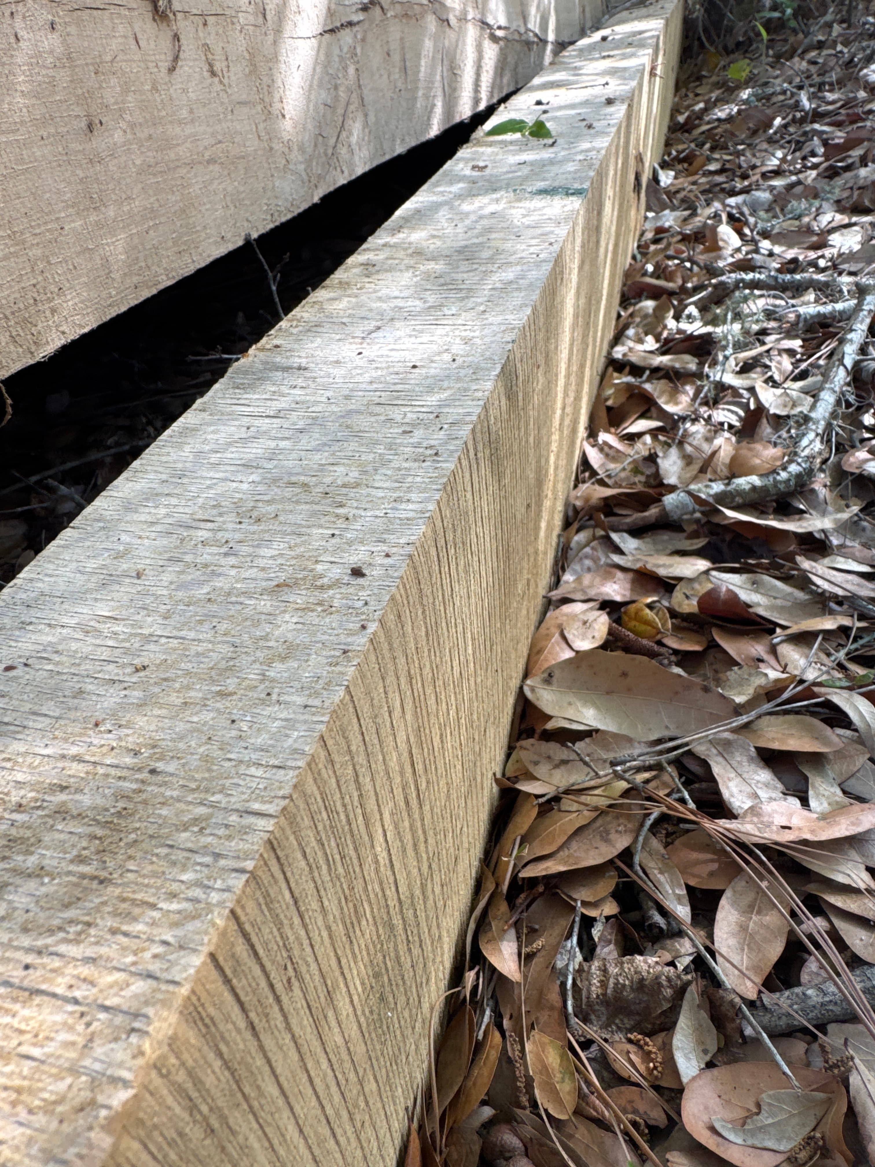 Southern Live Oak Lumber