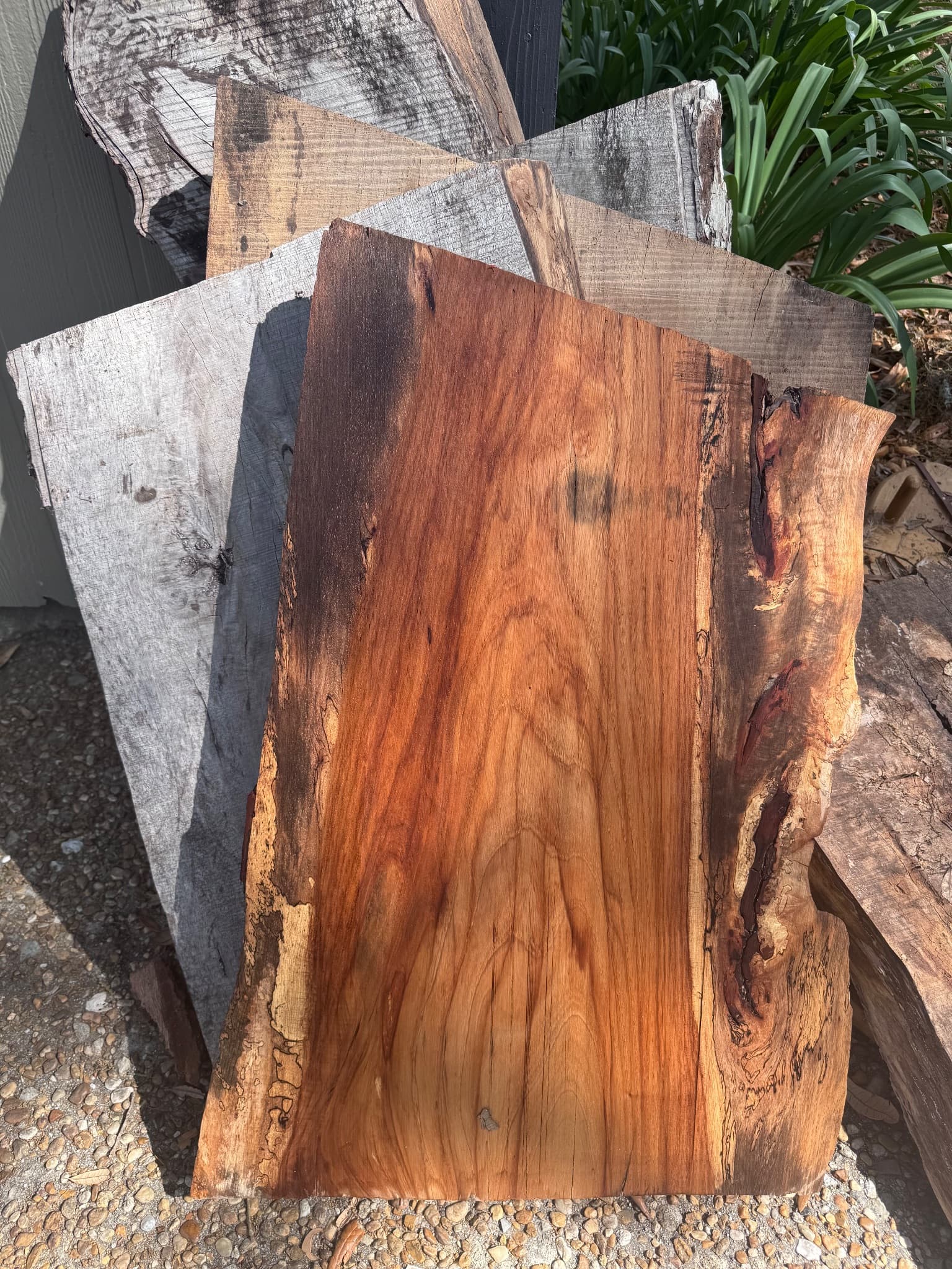 Pecan Slab