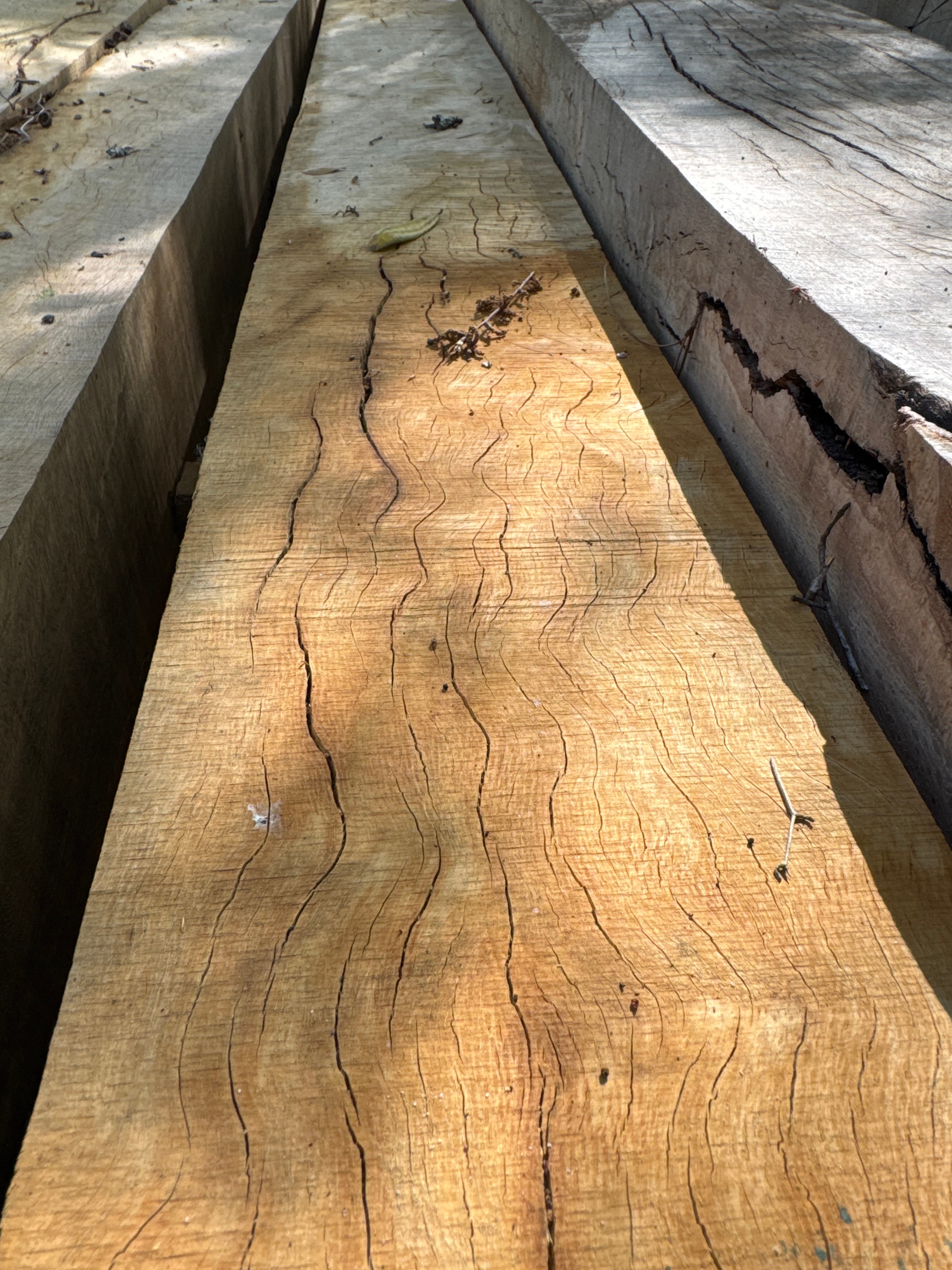 Southern Live Oak Lumber