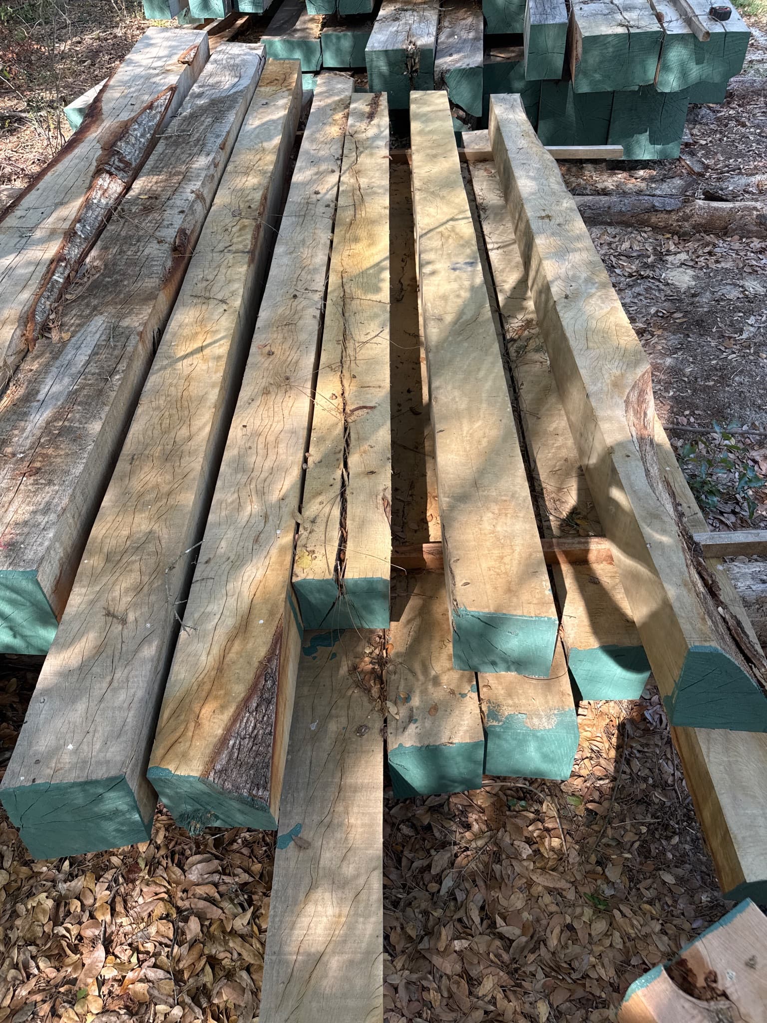 Southern Live Oak Lumber