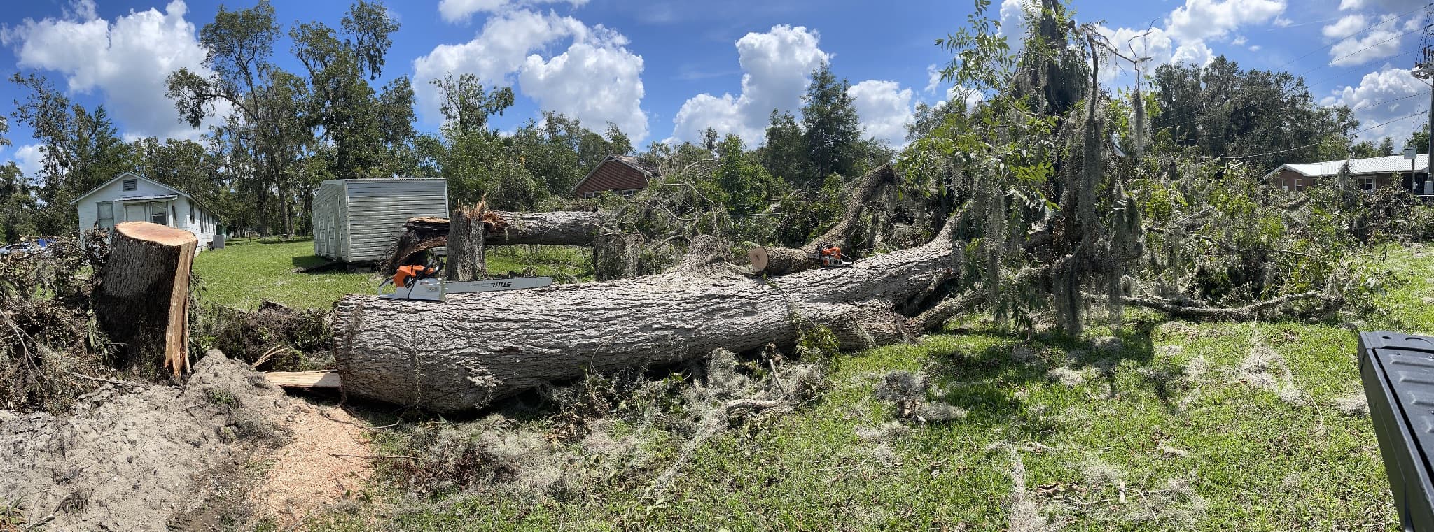 Lumber without Logging