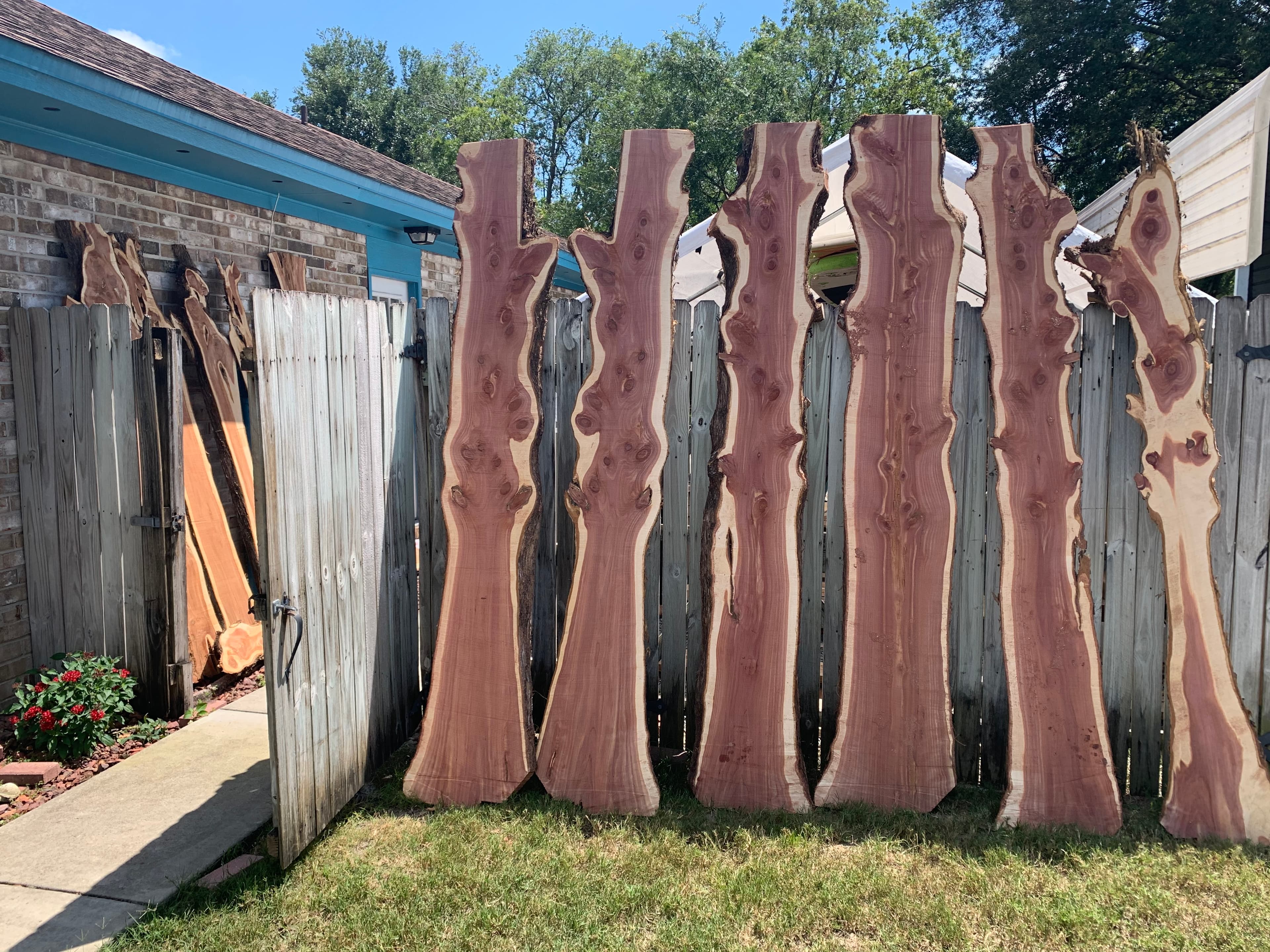 Eastern Red Cedar Slab