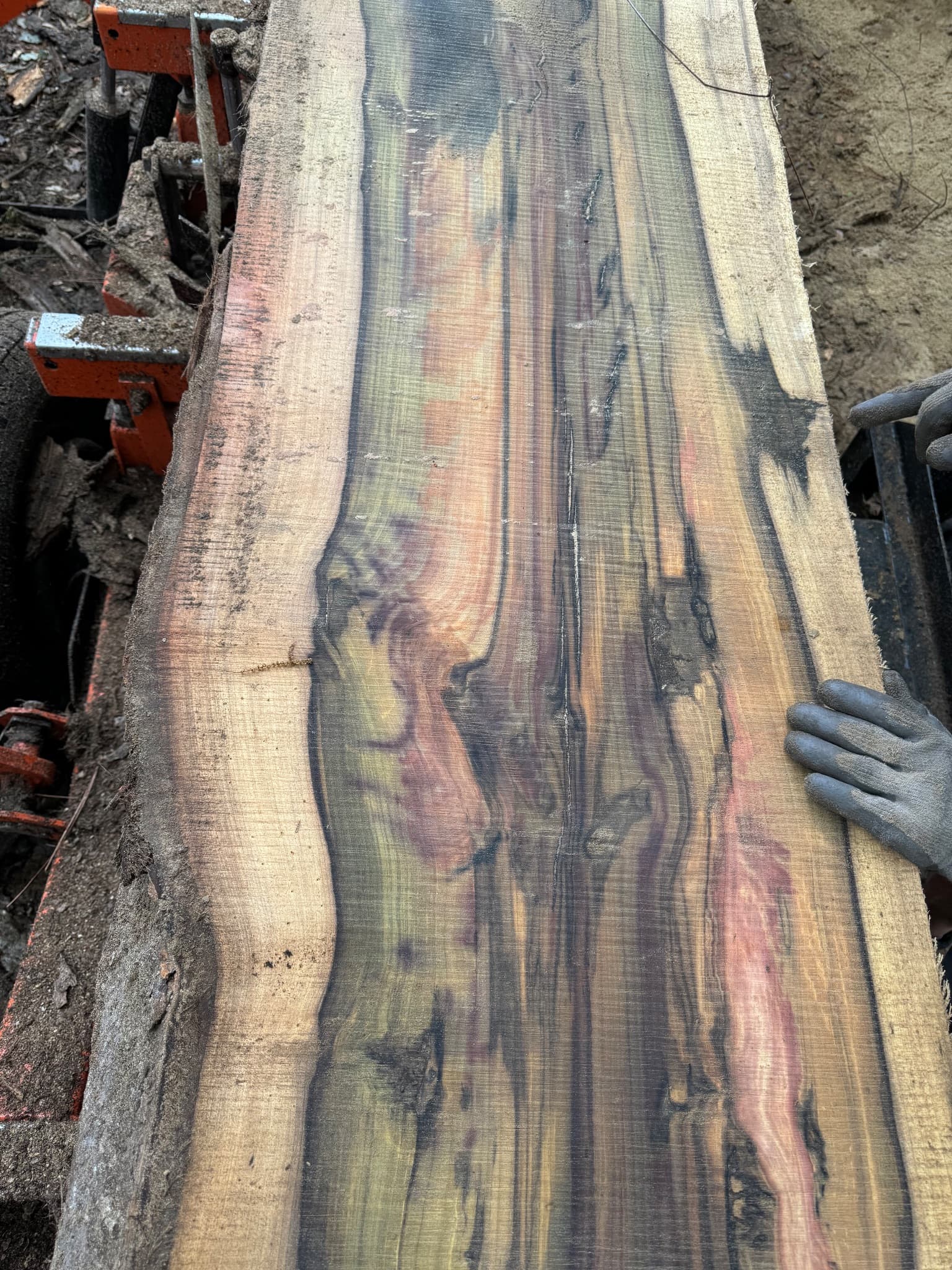 Magnolia Slab