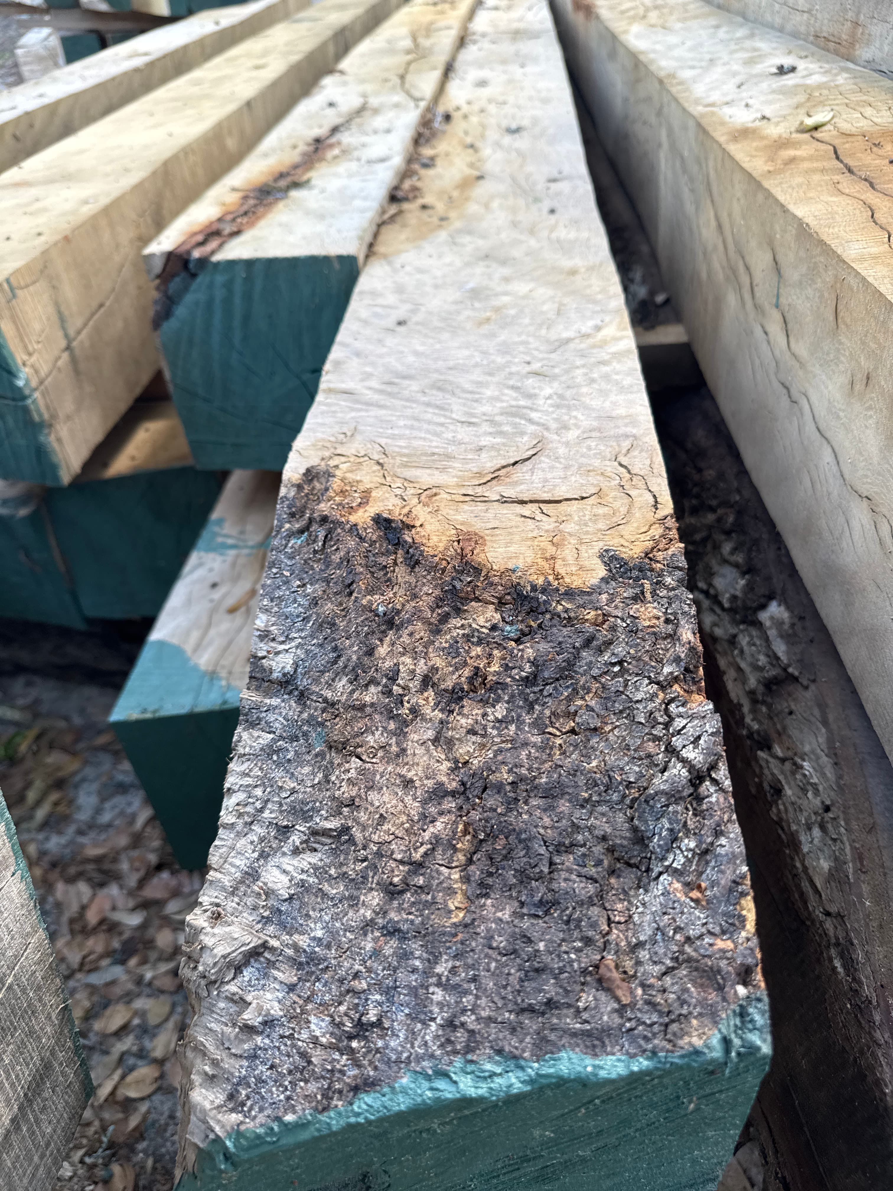 Southern Live Oak Lumber